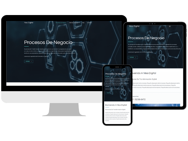 Diseño Responsive para Nisa Digital